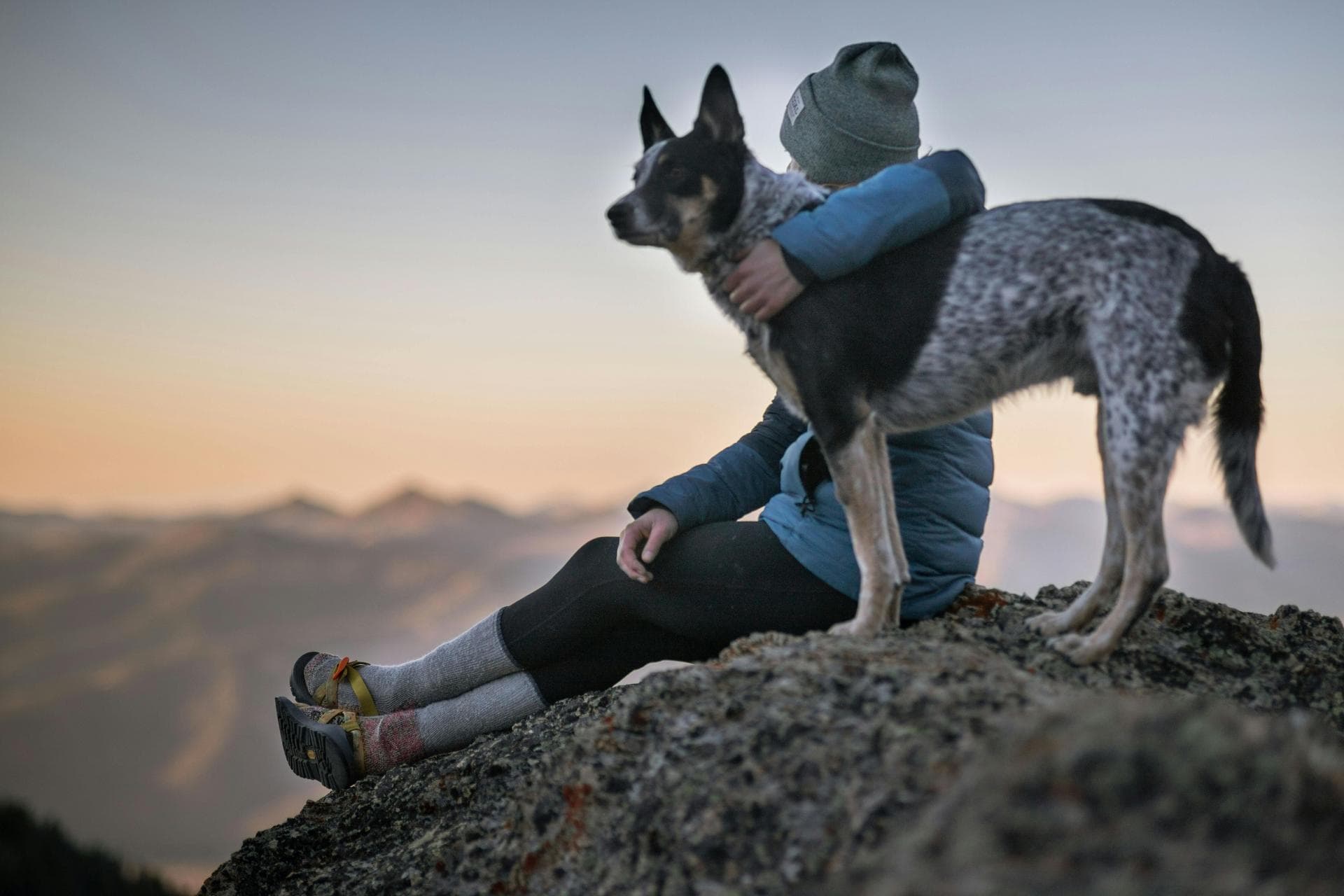 Dog & Cat Vets in Charleston